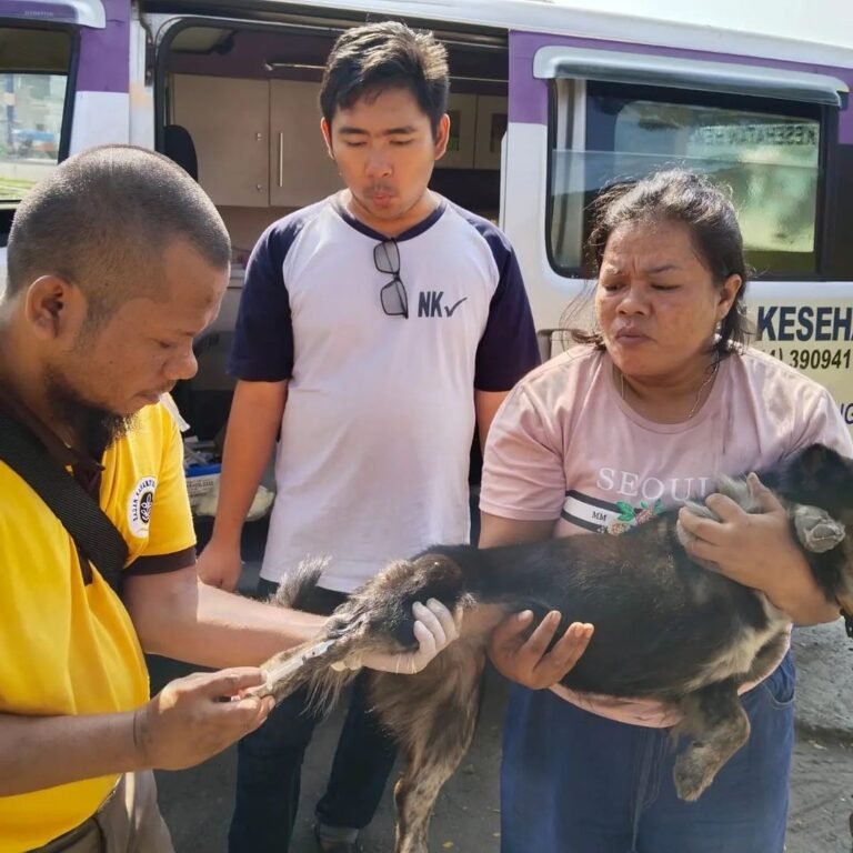 Cegah Penyakit Rabies, DKPP Kota Cilegon Gelar Surveilans