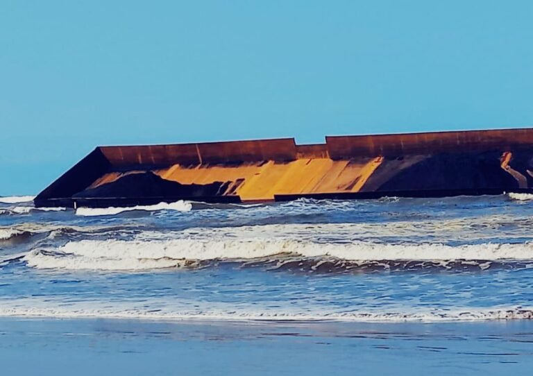 Dakum DLHK Banten Akan Turun Ke Lokasi Di Perairan Bayah