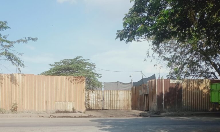 Stok Batu Bara di Perbatasan Cilegon- Serang Meresahkan, Aktivis Lingkungan Minta DLH Setempat Segera Bertindak