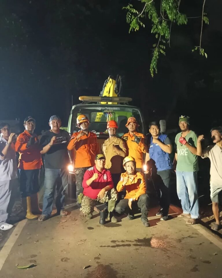 Curah Hujan Mulai Tinggi, BPBD Kota Cilegon Minta Warga Waspada Pohon Tumbang