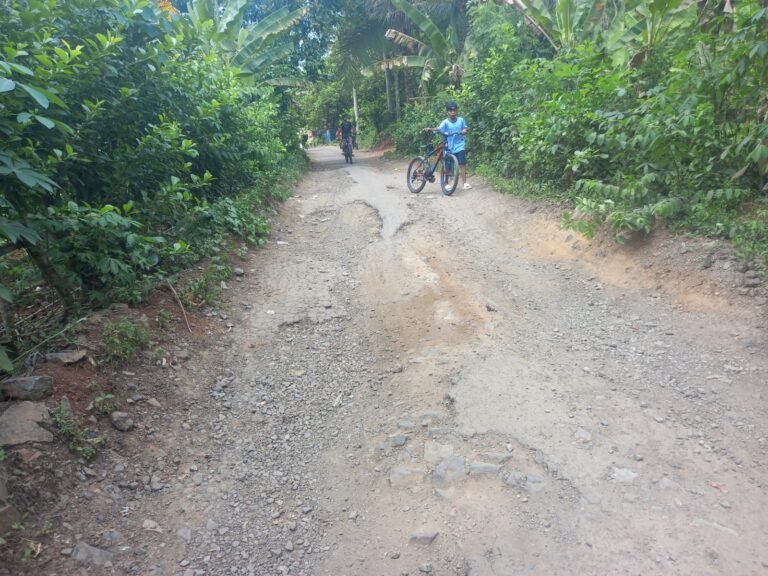 Jalan Rusak Parah, Warga Kelurahan Sukawana kecamatan Curug Minta Perhatian Pemkot 