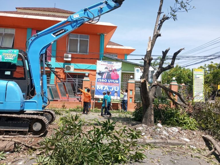 Warga Keluhkan Terhadap Penebangan Pohon Oleh Tim Pemenangan Robinsar-Fajar