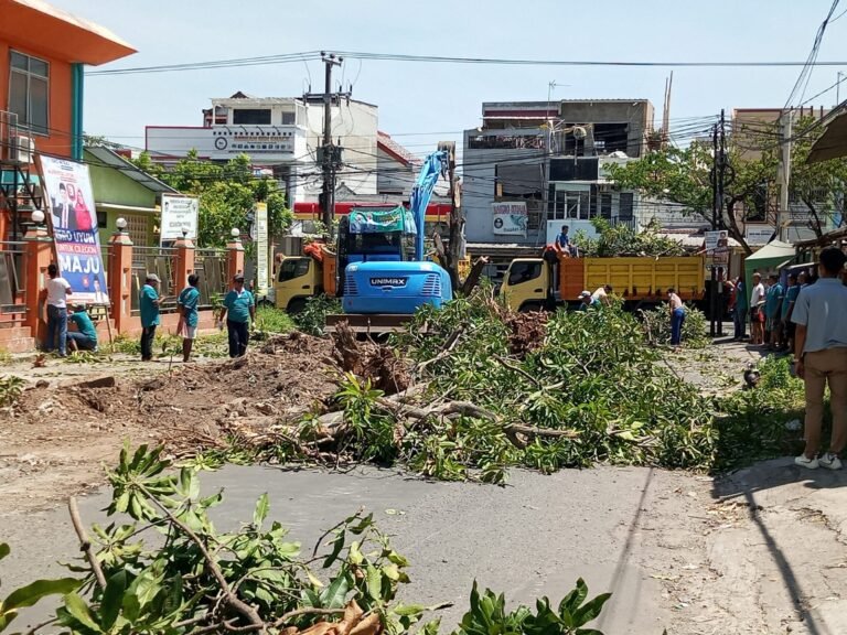 Penebangan Pohon di PCI Oleh Calon Wali kota Cilegon Dinilai Langgar Aturan