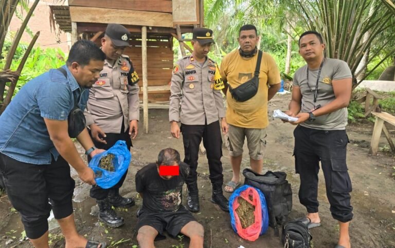 Kapolsek Ranto Peureulak Pimpin Amankan Pelaku Tindak Pidana Penyalahgunaan Narkotika Jenis Ganja