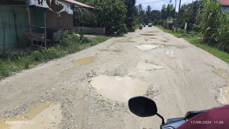 Kondisi Jalan Lintas Idi Tunoeng Dan Banda Alam Rusak Parah