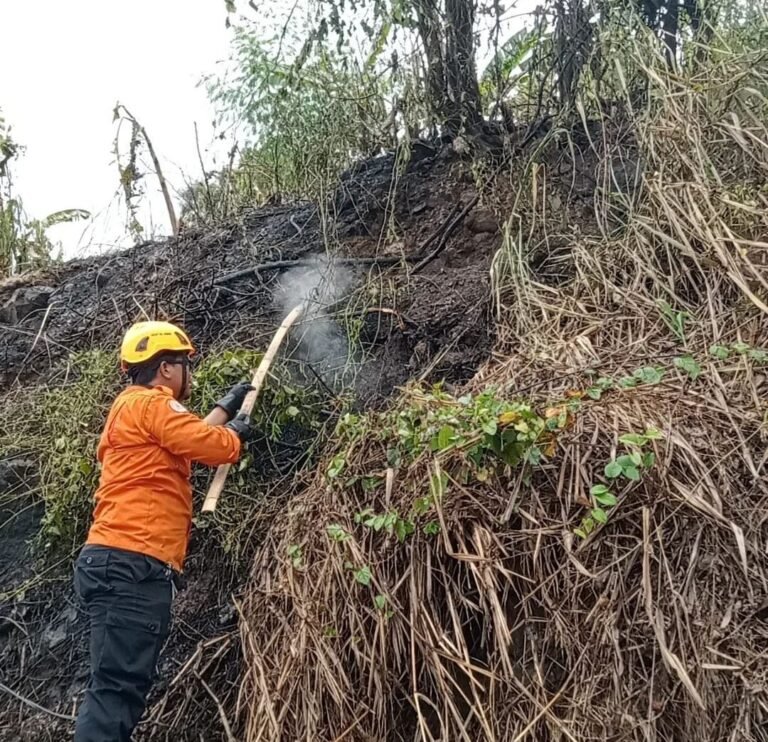 Diduga Akibat Pembakaran Sampah, BPBD Cilegon Bantu Padamkan Karhutla di Gerem 