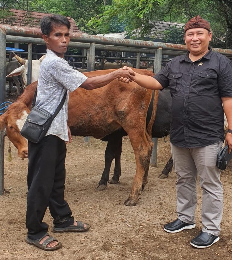 Studi Banding ke Pasar Hewan Terbesar di Jawa Barat, Wakil Ketua Komisi II DPRD Banten Beli 6 Ekor Sapi untuk dibudidayakan