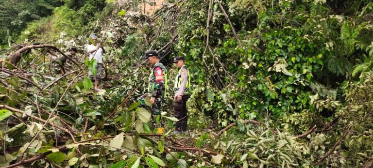 Sempat Normal, Jalan Lintas Aceh Timur-Gayo Lues Kembali Tertimbun Longsor di Lokop