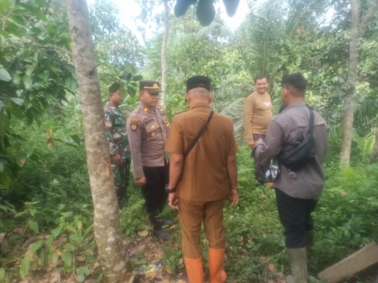 Setelah Harimau, Kini Giliran Gajah Masuk Kebon Warga Indra Makmur, Aceh Timur