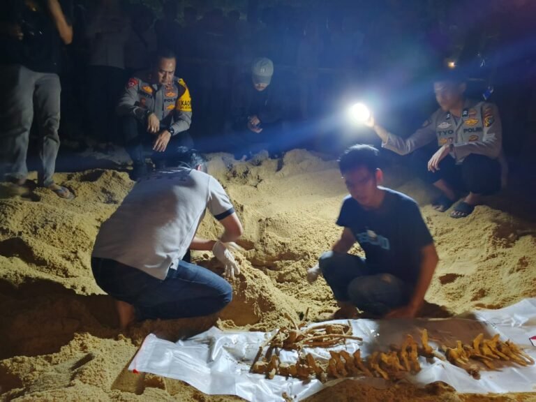 Polisi Pastikan Temuan Tengkorak di Pantai Batu Rakit Bukan Kerangka Manusia