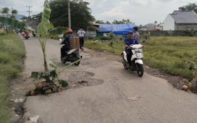 Screenshot_2025-04-04-15-18-08-447_com.miui.gallery-edit