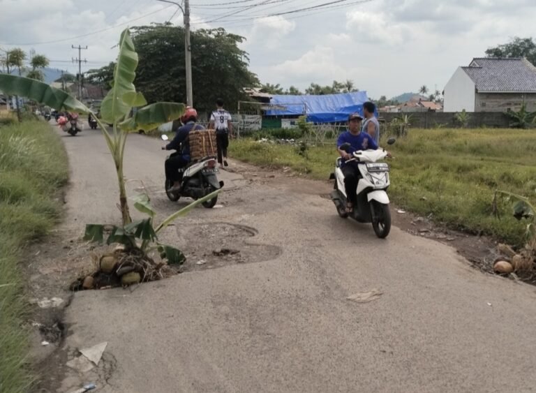 Protes Warga Purwakarta: Tanam Pisang di Jalan Berlubang, Minta Perhatian Pemerintah Kota Cilegon