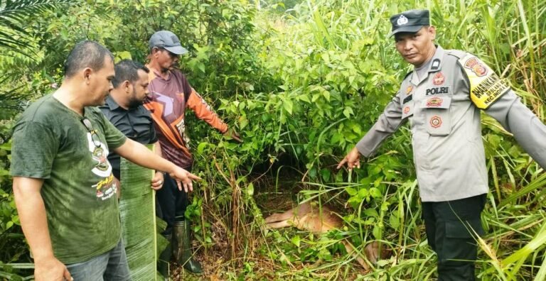 Kapolres Aceh Timur Imbau Warga Awasi Hewan Ternaknya