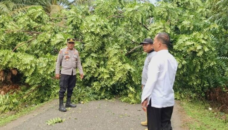 Cepat dan Tanggap, Kapolsek Nurussalam Sigap Tangani Pohon Tumbang yang Halangi Jalan