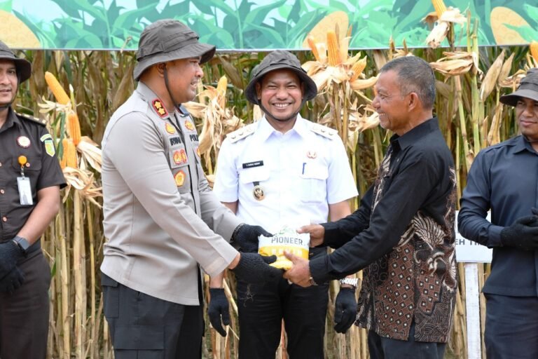 Dukung Kedaulatan Pangan, Polres Aceh Timur Bersama Pemkab dan Kelompok Tani Gelar Panen Raya Jagung di Ranto Peureulak