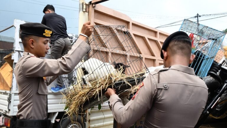 Polres Aceh Timur Amankan Kendaraan Pengangkut Barang dan Hewan Illegal Yang Diselundupkan Melalui Jalur Laut