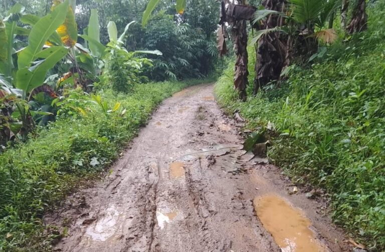 Jalan Rusak 25 Tahun di Kampung Tampakaso, Negara Absen di Tengah Batu dan Lumpur