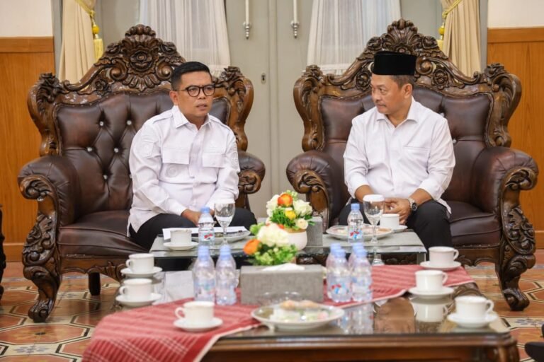 Gubernur Banten Terima DPTW PKS Provinsi Banten 