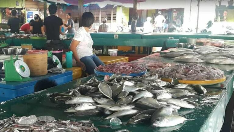 Warga Minta KKP Segera Realisasikan Pembangunan Pasar Ikan Ranai di Natuna