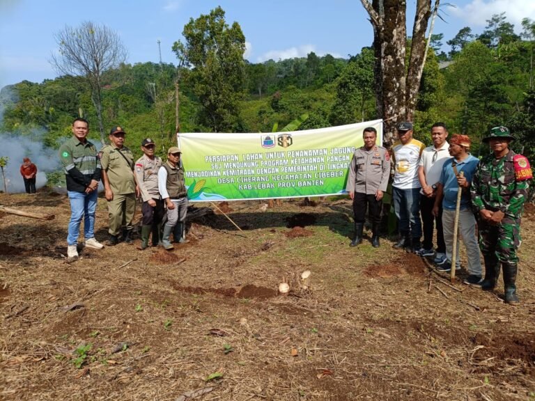 PT SBJ Dalam Mendukung Program Pemerintah, di Ciherang Tanam Jagung Seluas 1 Hektare 
