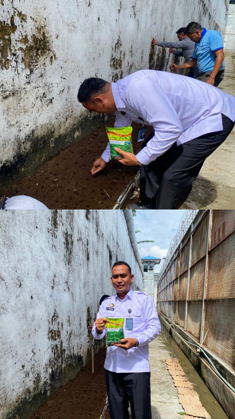 Dukung Ketahanan Pangan Rutan Tanjung Pura Kembali Menanam Bibit Tanaman Kangkung Darat