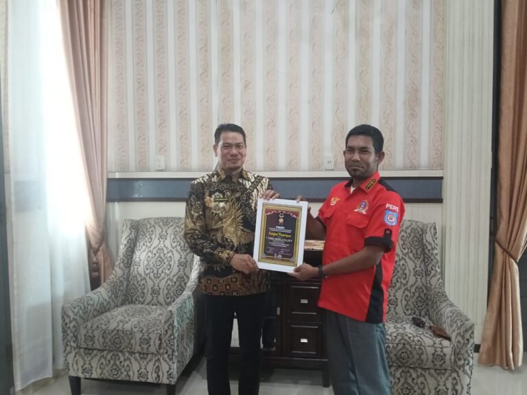 Pwdpi Berikan piagam penghargaan nasional kepada Wakil Bupati Aceh