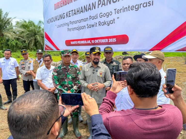Pemkab Aceh Timur launching penanaman padi gogo.