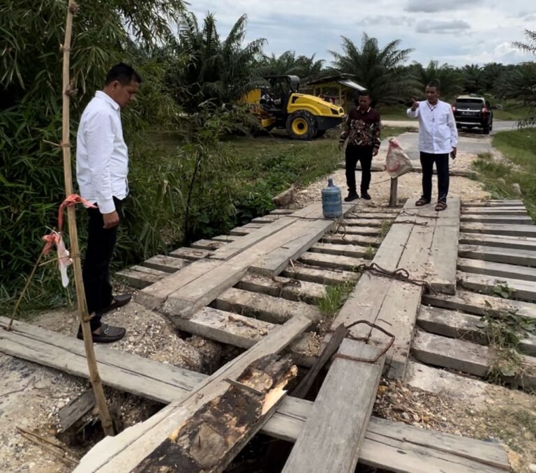 Wakil Bupati Aceh Timur T. Zainal Abidin Tinjau Langsung Jembatan Hampir Ambruk di Desa Alue Canang.