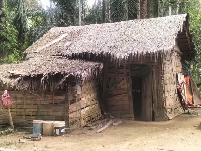Miris,Puluhan Rumah Tidak Layak Huni di Desa Buket Bata Pante Bidari,BAI Minta Pemkab Aceh Timur Segera Tinjau