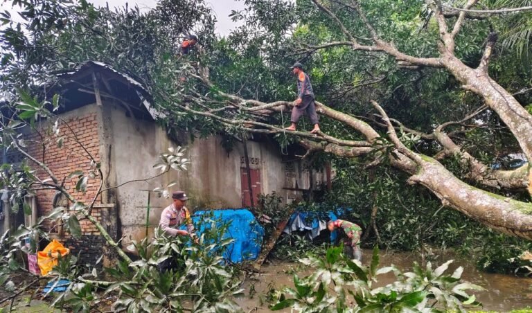 Sigap, Anggota Polsek Darul Aman Bantu Warga Yang Rumahnya Tertimpa Pohon