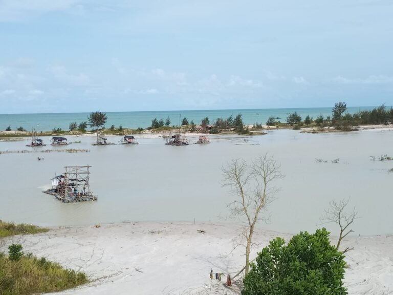Diduga Tambang Ilegal Beroperasi di Hutan Lindung Sungailiat–Mapur, Warga Minta Satgas PKH dan Gakkum Kehutanan Bertindak