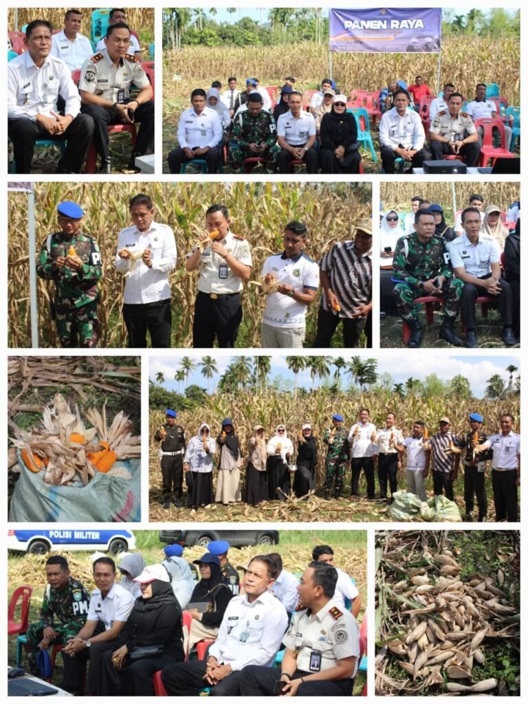 Dukung Ketahanan Pangan Nasional, Lapas kelas’ II Bireuen Ikut Serta Panen Raya Serentak Permasyarakatan.