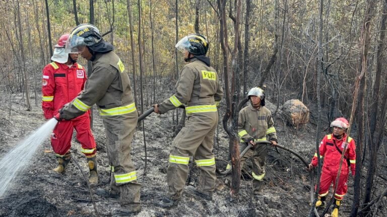 BRIMOB KEPRI GERAK CEPAT PADAMKAN KEBAKARAN HUTAN DI BUKIT DAENG TEMBESI, KOTA BATAM