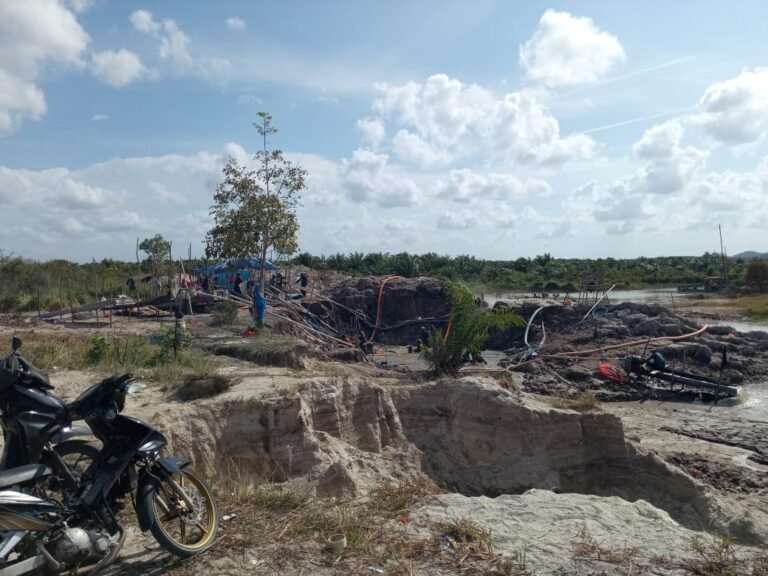 Maraknya Tambang Timah Ilegal di Hutan Lindung Sungailiat–Mapur, APH Dinilai Belum Tegas