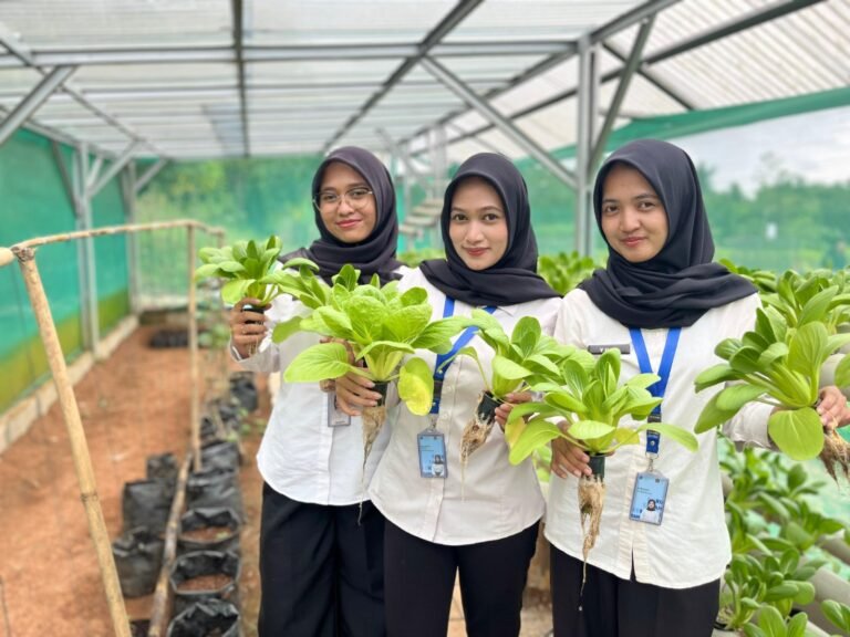 Kolaborasi Pembinaan Berbuah Hasil, Panen Pakcoy Rutan Tangerang Tembus 11,5 Kg