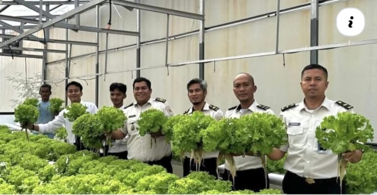Rutan Kelas IIA Batam Panen 142 Kg Sayuran, Warga Binaan Dibekali Keterampilan Bertani