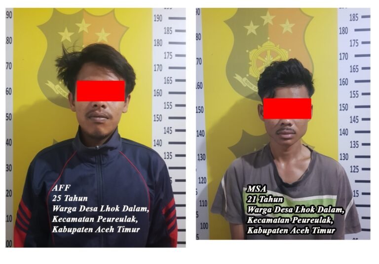 Spesialis Pencuri Meteran Air Diamankan Polsek Peureulak