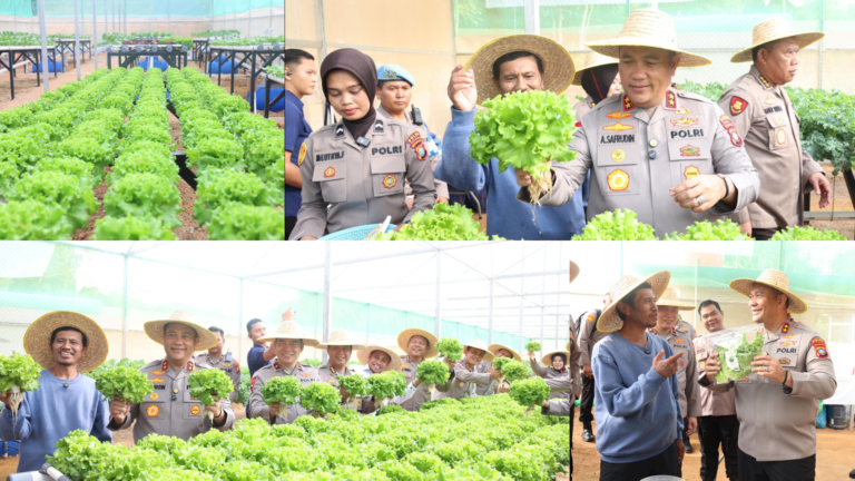 POLDA KEPRI PANEN PERDANA HIDROPONIK, DUKUNG KETAHANAN PANGAN