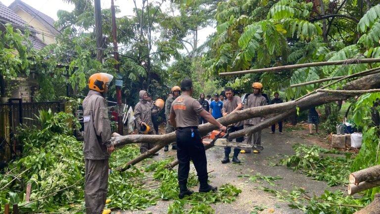 RESPON CEPAT BRIMOB POLDA KEPRI EVAKUASI POHON TUMBANG TIMPA RUMAH WARGA DI SAGULUNG