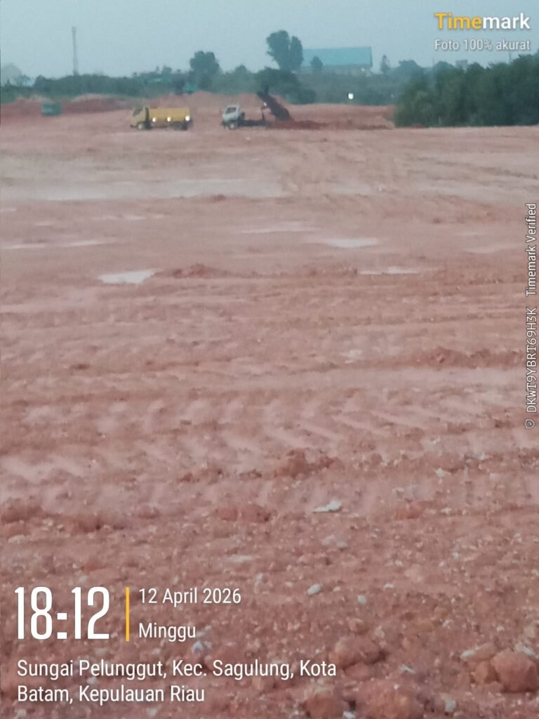 Mangrove Sagulung Dibabat? Aktivitas Diduga Ilegal Mengarah ke Pidana Lingkungan