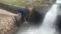 IMG-20260501-WA0111