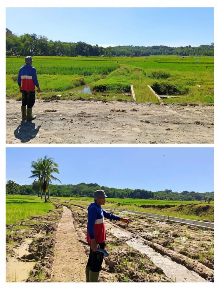 Saluran Irigasi DI Cilangkahan Tersumbat Material Proyek, Ratusan Hektare Sawah di Lebak Terancam Gagal Panen
