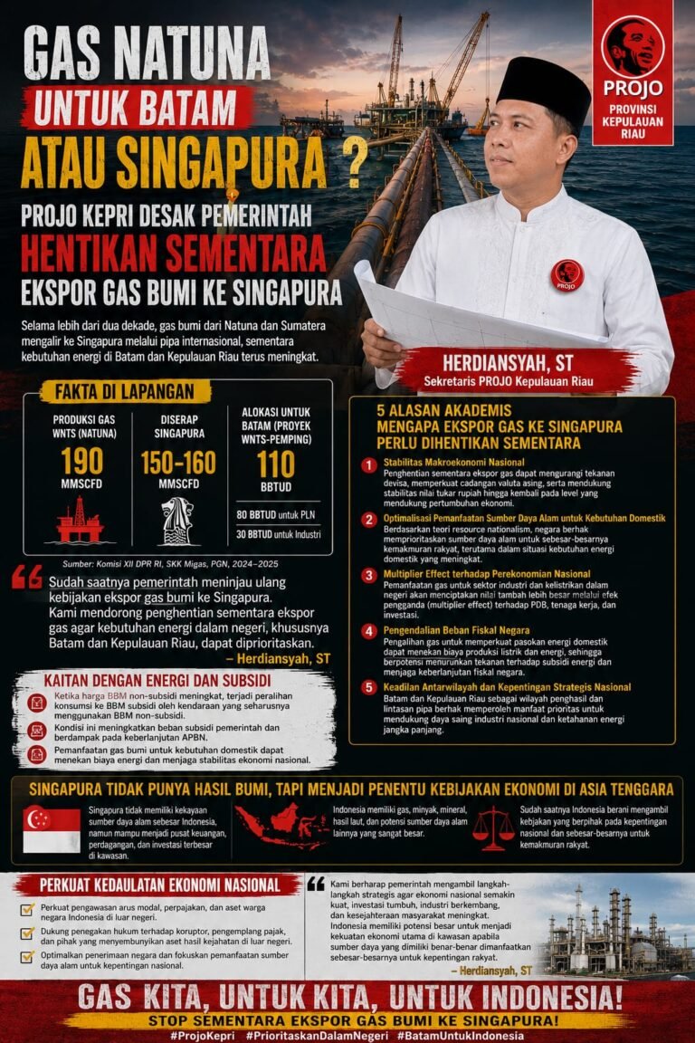Gas Natuna Mengalir ke Singapura, Batam Baru Kebagian? Projo Kepri Desak Pemerintah Hentikan Sementara Ekspor Gas Bumi
