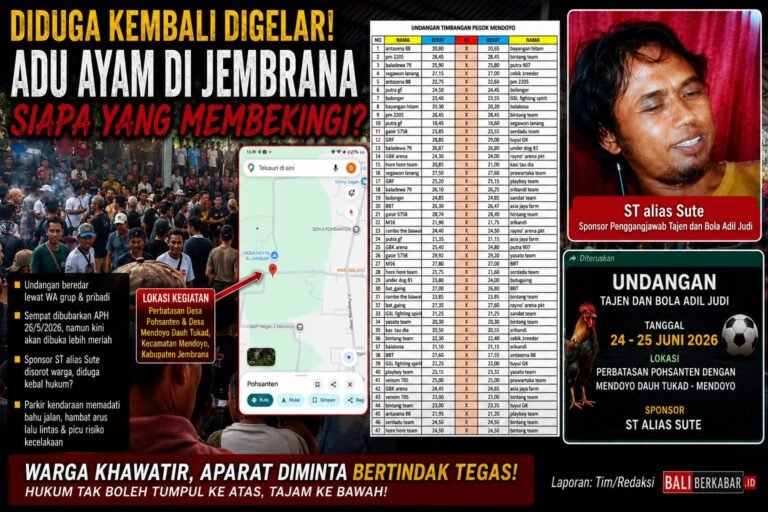 Undangan Adu Ayam Kembali Beredar di Jembrana, Publik Pertanyakan Konsistensi Penegakan Hukum