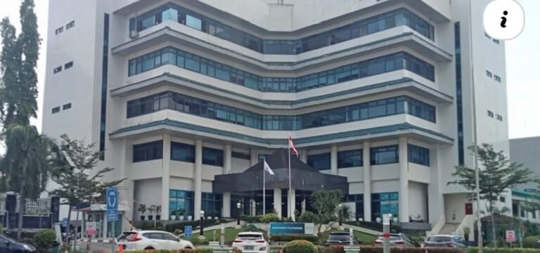 PLN Batam Beri Promo Kemerdekaan, Tambah Daya Hingga 11.000 VA Hanya Rp81 Ribu