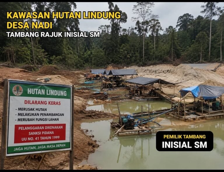 Deru Tambang Diduga Ilegal di Kawasan Hutan Lindung Desa Nadi Terus Menggema, Publik Pertanyakan Ketegasan Penegakan Hukum