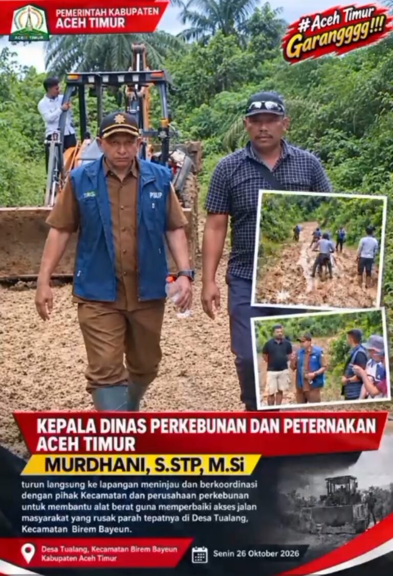 Jalankan Instruksi Bupati Aceh Timur Kadis Perkebunan Dan Peternakan Murdhani Turun Langsung Pantau Perbaikan Jalan di Birem Bayeun